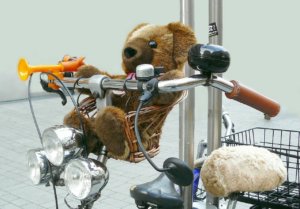 Fahrrad Bär